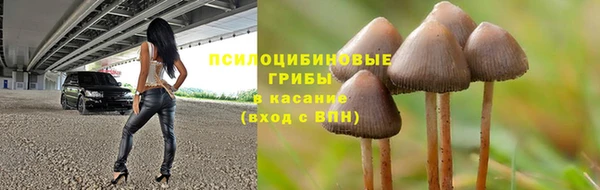 кристаллы Гусев