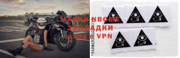 хмурый Алексин