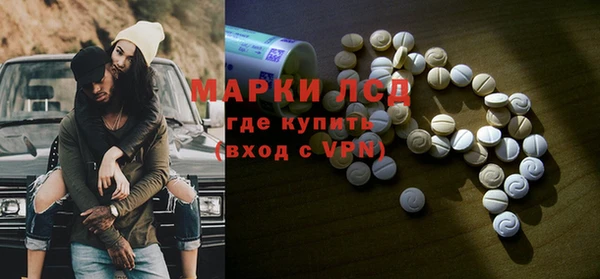 хмурый Алексин