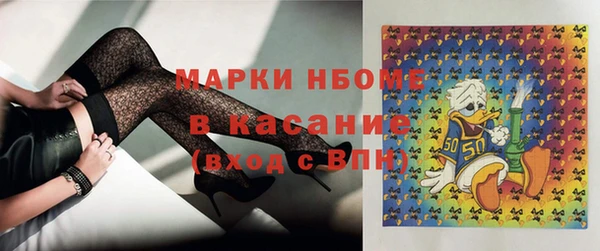 хмурый Алексин