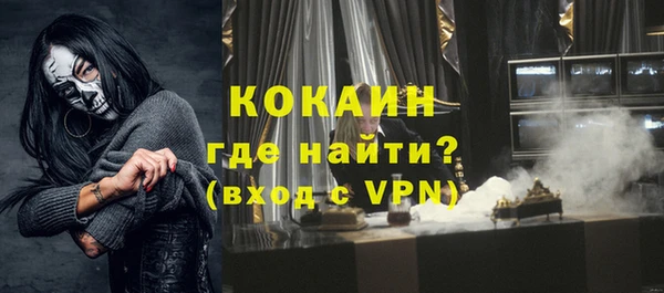 хмурый Алексин